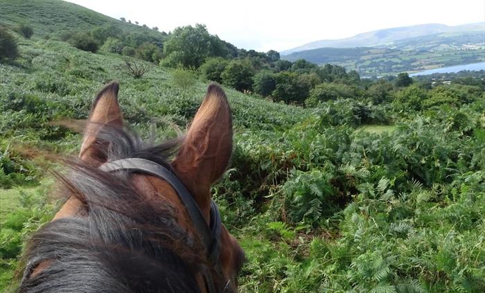 In the hills with Ellesmere Riding Centre